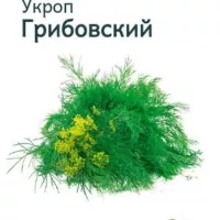 Купить семена Укроп Грибовский