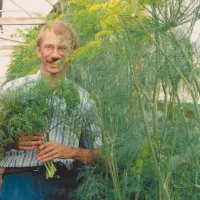 Купить семена Укроп Русский размер