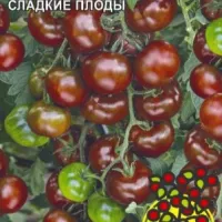 Купить семена Томат Вишня в шоколаде