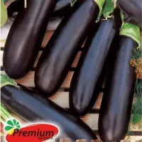 Купить семена Баклажан Алёшка F1 сверхранний холодостойкий