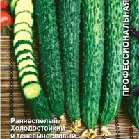 Купить семена Огурец Изумрудный поток
