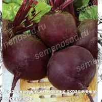 Купить семена Свекла Мулатка
