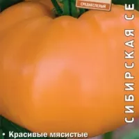 Купить семена Томат Алтайский оранжевый Купить семена Томат Алтайский оранжевый