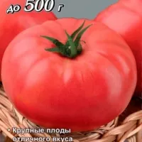 Купить семена Томат Алтайский розовый Купить семена Томат Алтайский розовый