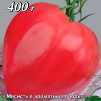 Купить семена томата Алтайская заря Купить семена томата Алтайская заря