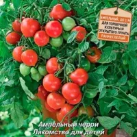 Томат ампельный  Рябиновые бусы Томат ампельный  Рябиновые бусы