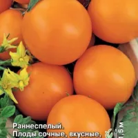 Купить семена Томат Апельсин