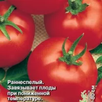 Купить семена Томат Айсберг Купить семена Томат Айсберг