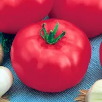 Купить семена Томат Бакинские Купить семена Томат Бакинские