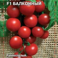 Купить семена Томат Балконный