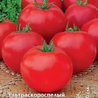 Купить семена Томат Беталюкс