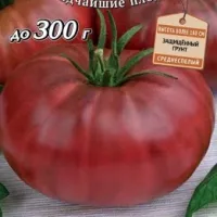 купить семена Томат Бизон черный