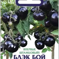 Купить семена томата Блэк Бой