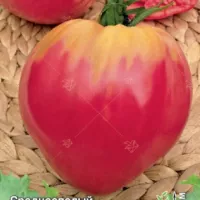 Купить семена Томат Бычье сердце золотое