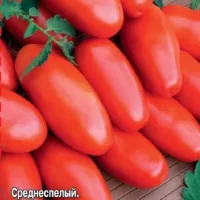 Купить семена Томат Царица