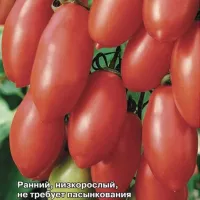 Купить семена Томат Челнок Купить семена Томат Челнок