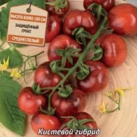 Купить семена Томат Черничный блюз F1