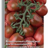 Купить семена Томат Черный мавр