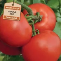 Купить семена Томат Дачник