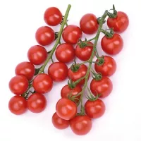 Купить семена Томат Эльф