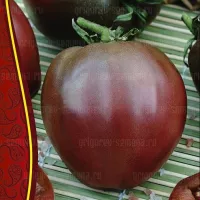 Купить семена Томат Гном Пурпурное сердце