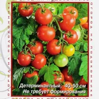 Купить семена Томат Гном