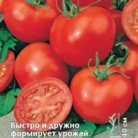Купить семена Томат Июньский