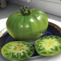 Томат Изумрудное яблоко