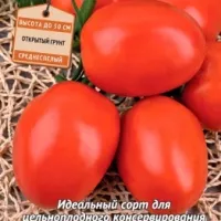 Купить семена Томат Кадет