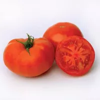 Купить семена Томат Коралловый риф Купить семена Томат Коралловый риф