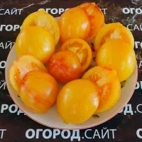 Купить семена Томата Козула 137