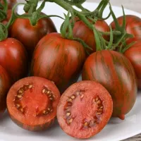 Купить семена Томат Красный камуфляж Купить семена Томат Красный камуфляж