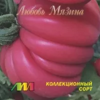 Купить семена Томат Лотарингская красавица малиновая