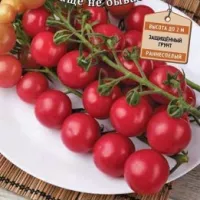 Купить семена Томат Малиновый Десерт Вкуснотека Купить семена Томат Малиновый Десерт Вкуснотека