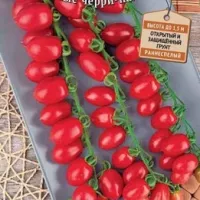 Купить семена Томат Малиновый фонтан черри Вкуснотека Купить семена Томат Малиновый фонтан черри Вкуснотека