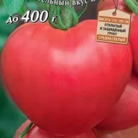 Купить семена Томат Малиновый рассвет Вкуснотека Купить семена Томат Малиновый рассвет Вкуснотека