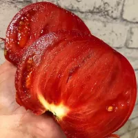 Купить семена Томат Лапоть минусинский