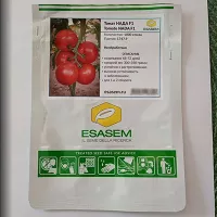 Купить семена Томат Нада