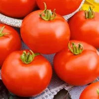 Купить семена Томат Наша Маша Купить семена Томат Наша Маша