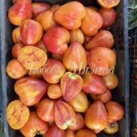 Купить семена Томат Оранжевая клубника