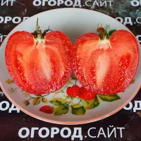 Купить семена Томат Немецкая клубника от Сибирского сада