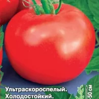 Купить семена Томат Непас