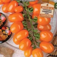 Купить семена Томат Оранжевый Фонтан черри Вкуснотека Купить семена Томат Оранжевый Фонтан черри Вкуснотека