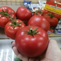 Купить семена Томат Пандароза Купить семена Томат Пандароза