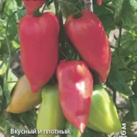 Купить семена Томат Перцевидный