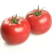Купить семена Томат Пинк Айди F1 Купить семена Томат Пинк Айди F1