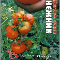 Купить семена Томат Подснежник
