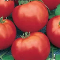 Купить семена Томат Ранний Дубинина