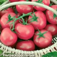 Купить семена Томат Розовая Ляна