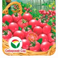 Купить семена Томат Садовая жемчужина